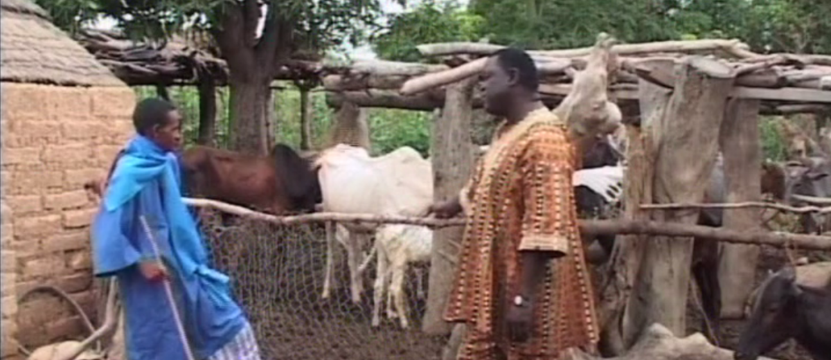 La belle, la brute et le berger