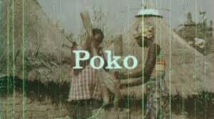 Poko